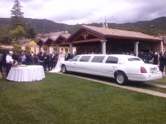 Servizi Matrimoniali esclusivi - LIMOUSINE IN SARDEGNA